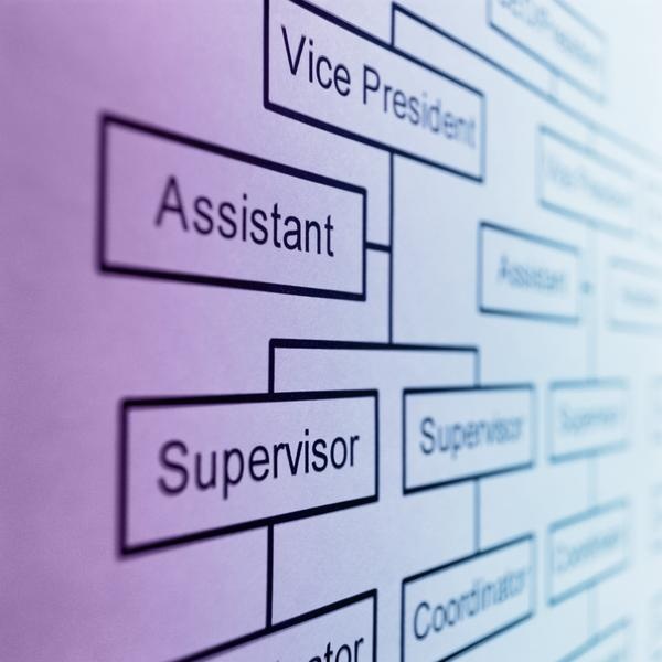 Best 25+ Organizational structure ideas on Pinterest Wooden - organizational flow chart template word Best 25+ Organizational structure ideas on Pinterest Wooden - organizational flow chart template word