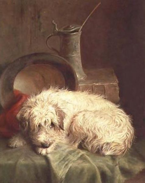 Less Hyper Dog Breeds Less Hyper Dog Breeds