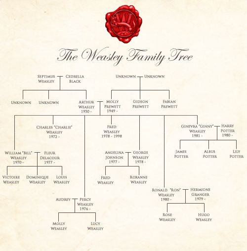 Best 25+ Harry potter family tree ideas on Pinterest Weasley - family tree example Best 25+ Harry potter family tree ideas on Pinterest Weasley - family tree example