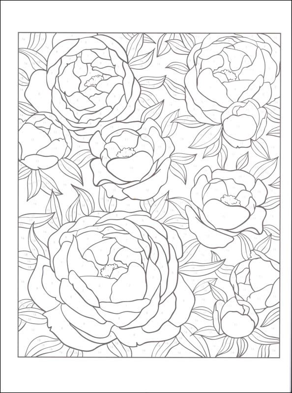 Resultat Dimatges De Creative Haven Wildlife Color By Number Coloring Book Gratis