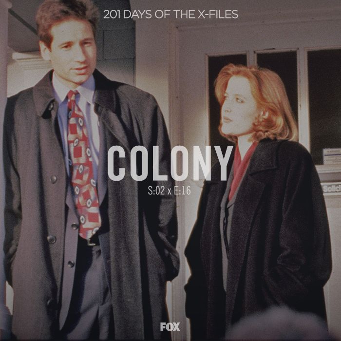 The XFiles Timeline