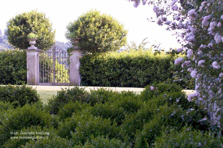 Il Sole Nel Giardino 7 best gardens designed by il sole nel giardino Il Sole Nel Giardino 7 best gardens designed by il sole nel giardino