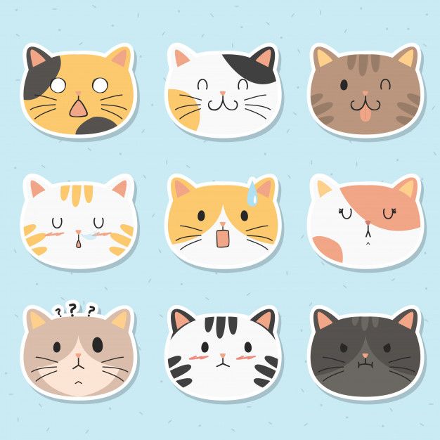 Tumblr Stickers Cat Stickers Tumblr Stickers Cool Stickers