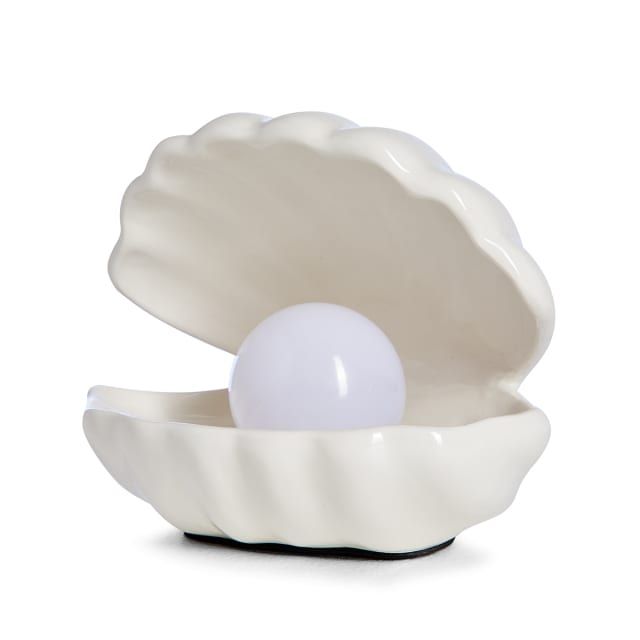 Clam Shell Lamp In 2025 Shell Lamp Seashells Lamp Lamp 909f1dc8a79236f1c0249d4b88d207c3