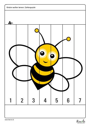 Kindergarten thema zahlen kennenlernen