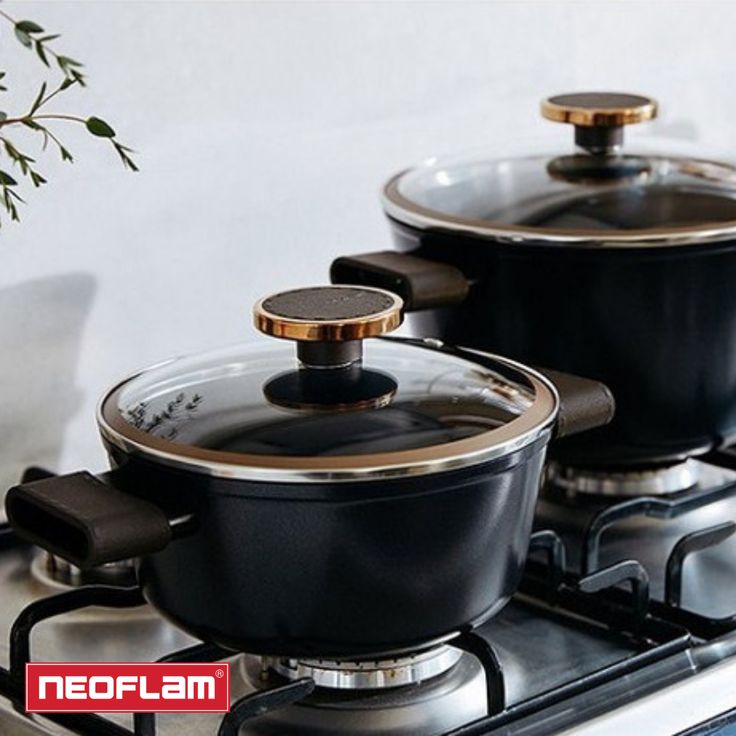 Neoflam Nobless Tencere Modelleri Primanova Da 2021 Mutfak Dekor Tava Neoflam Nobless Tencere Modelleri Primanova Da 2021 Mutfak Dekor Tava