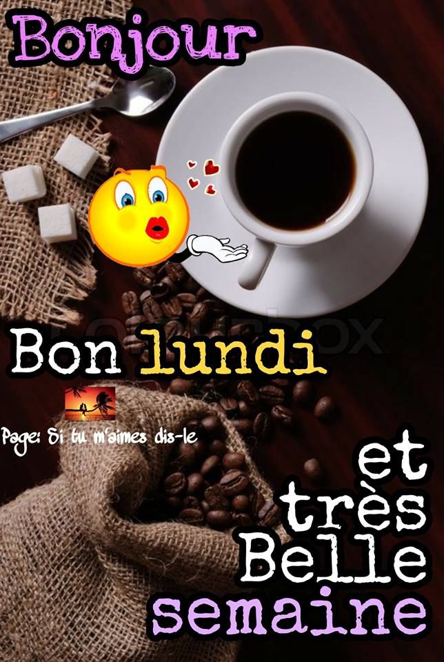 Lundi 4 mai  90d1d8a11e62b12b1df4c119f8cac77b