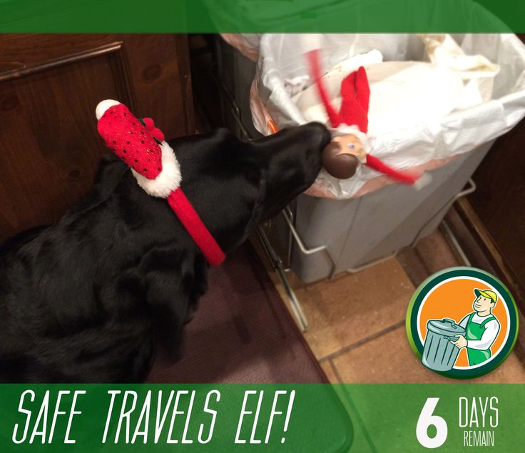 dakotas countdown 20 days until christmas dakota wolfie dodd 6 days until christmas
