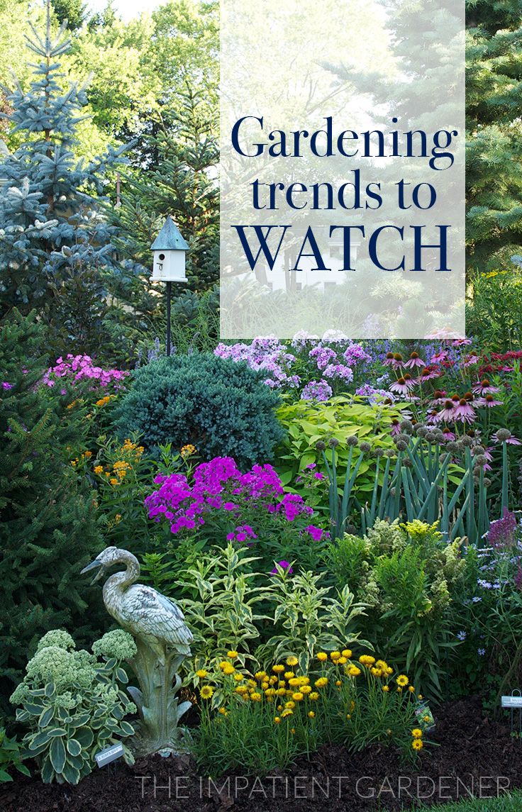 Vegetable Garden Ideas For Spring 267 best spring gardening ideas images on pinterest | gardening Vegetable Garden Ideas For Spring 267 best spring gardening ideas images on pinterest | gardening