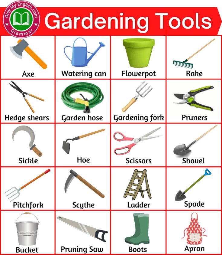 Best Gardening Tools Names with Pictures in 2022 | Gardening tools ...