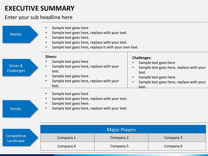 format for executive summary report