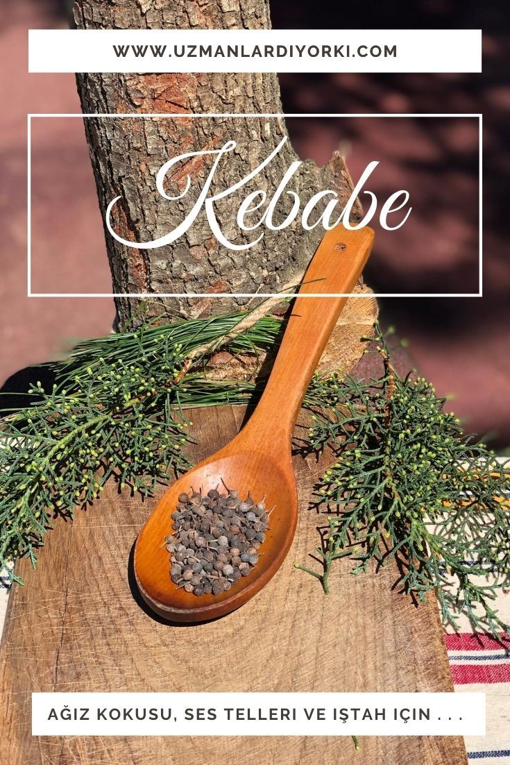 Kebabe Nedir Faydalari Nelerdir Kebap Saglik Bi Tki Kebabe Nedir Faydalari Nelerdir Kebap Saglik Bi Tki