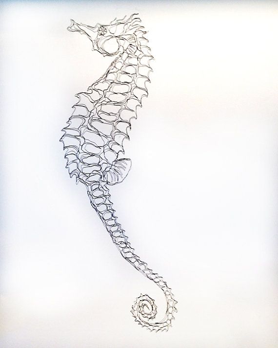 Seahorse Wire Sculpture 36in 2D Wall Art By Elizabeth Berrien Seahorse Wire Sculpture 36in 2D Wall Art By Elizabeth Berrien