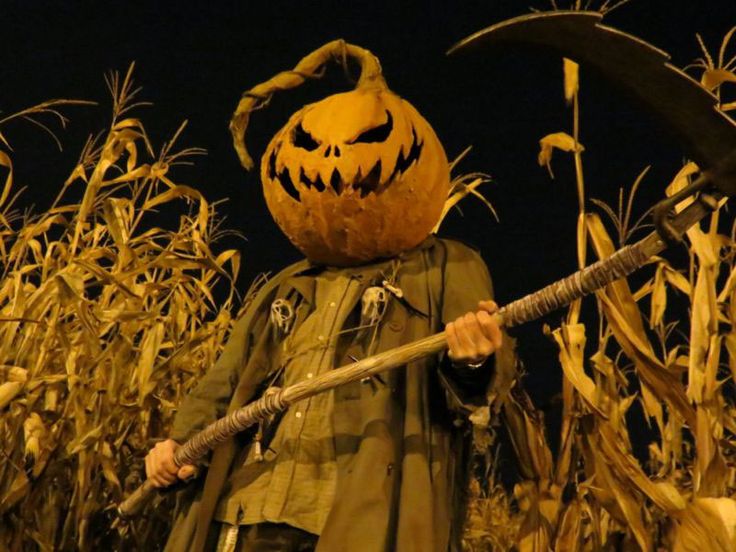 pumpkinrot inspired scarecrow features a paper mache pumking head and grapevine wreath body - Halloween Scare Crow pumpkinrot inspired scarecrow features a paper mache pumking head and grapevine wreath body - Halloween Scare Crow