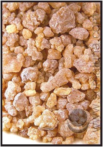 Frankincense Arabian Select Frankincense Dog Food Recipes Food Animals