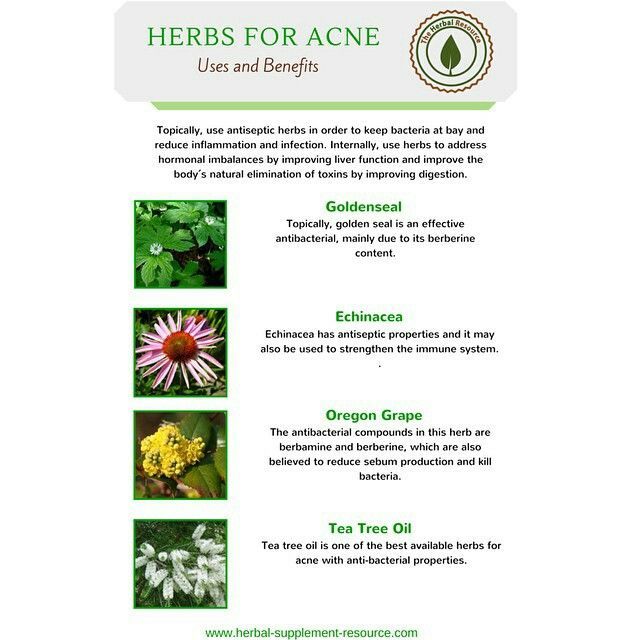 Hierbas Para El Acné Usos Y Beneficios Sello De Oro Equinácea Uva De Oregón árbol De Té Hierbas Para El Acné Usos Y Aceite Arbol De Te Hierbas Uvas