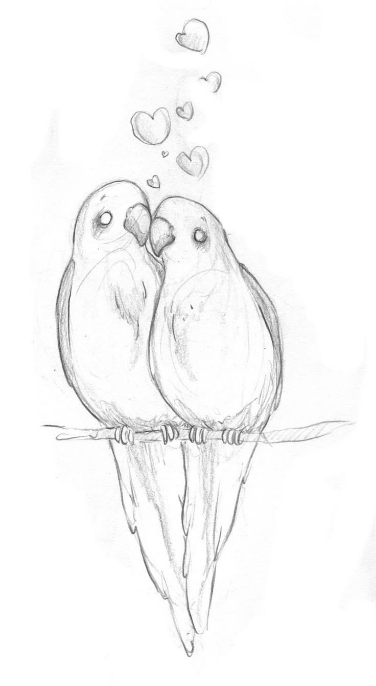 Uncategorized How To Draw Any Animal best 25 easy animal drawings ideas on pinterest cartoon meaningful tumblr google search