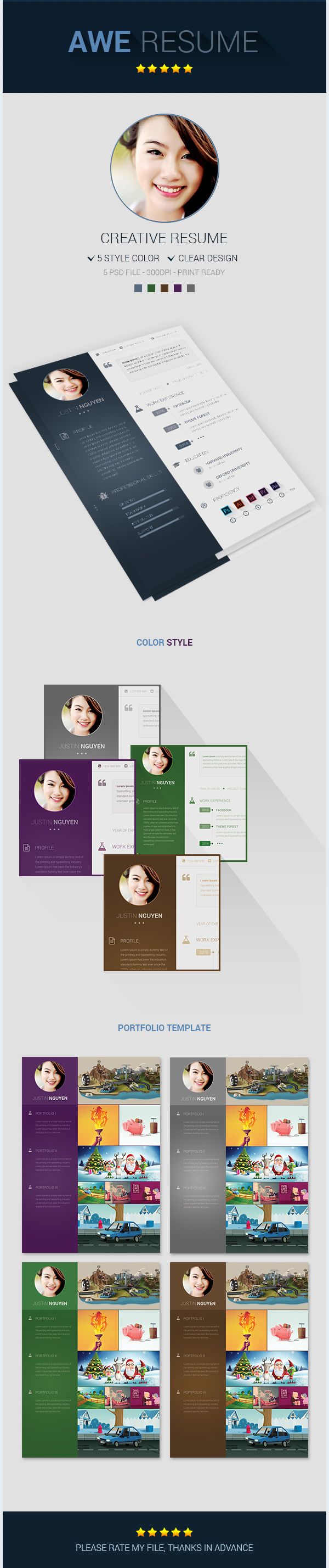 professional resume template premium resumes