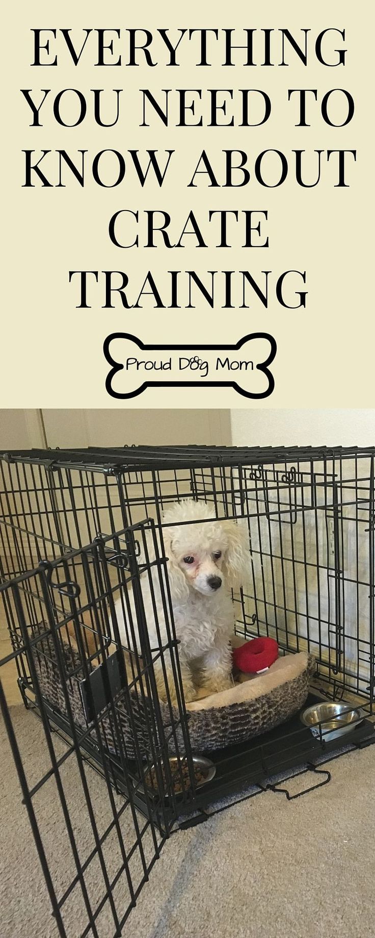 Crate Training 101 Dog Training Puppy Training Tips Crate Training
