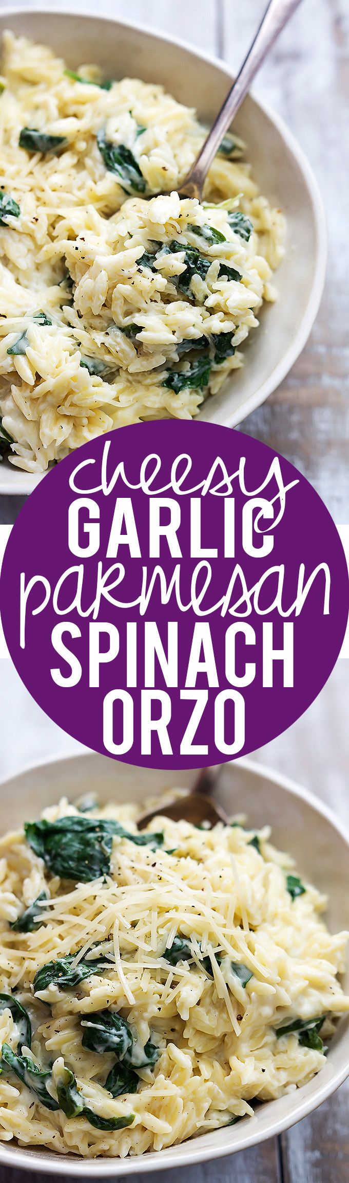 Zo S Kitchen Chicken Orzo best 25+ orzo ideas on pinterest | orzo recipes, chicken orzo and Zo S Kitchen Chicken Orzo best 25+ orzo ideas on pinterest | orzo recipes, chicken orzo and