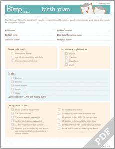 138 best ob labor delivery nursing images on pinterest ob spectrum health birth plan