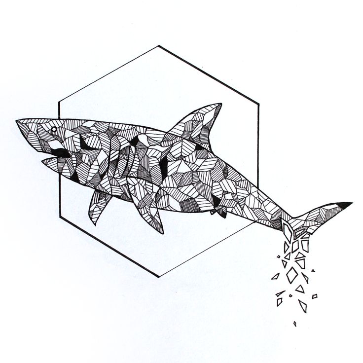 94 Awesome Art shark designs for Trend 2022