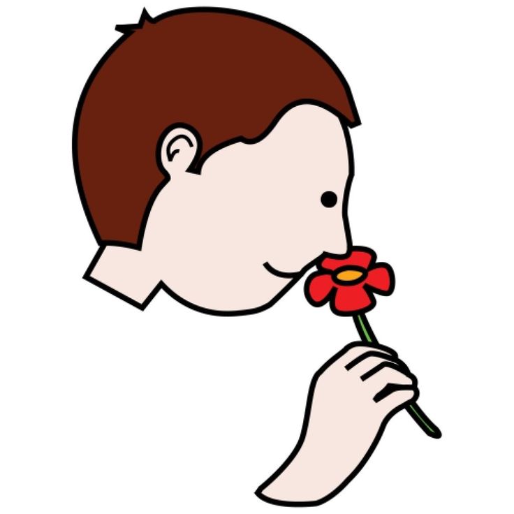 Smell Clipart Ideas Activit s De Lecture En Maternelle Pictogramme free-smelling-food-cliparts-download-free-smelling-food-cliparts-png