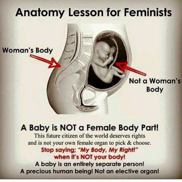 abortion is murdering essays