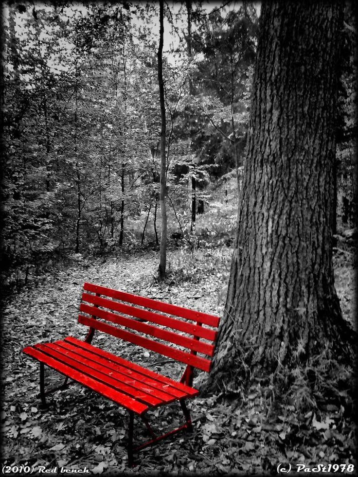 Red bench splash of color Red bench splash of color