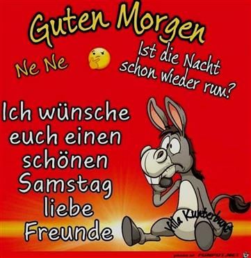 Guten morgen schönen samstag bilder