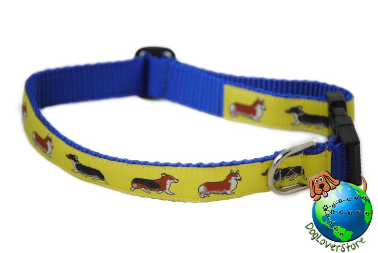 corgi puppy collar size