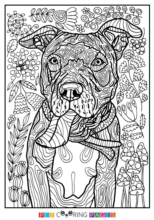 Free printable American Pit Bull Terrier coloring page Tank available