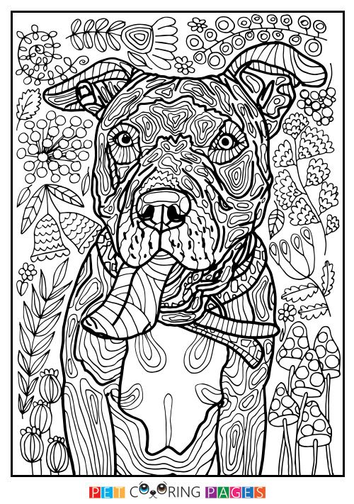 Free printable American Pit Bull Terrier coloring page "Tank" available