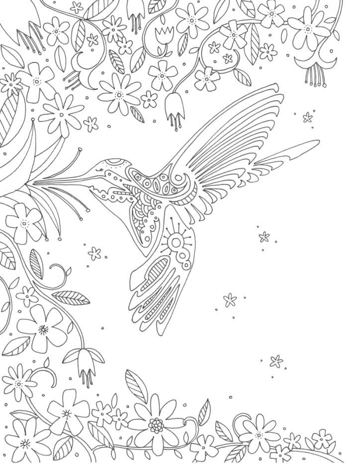 Download Lizzie Preston - Lizzie Preston - Hummingbird | Bird ...