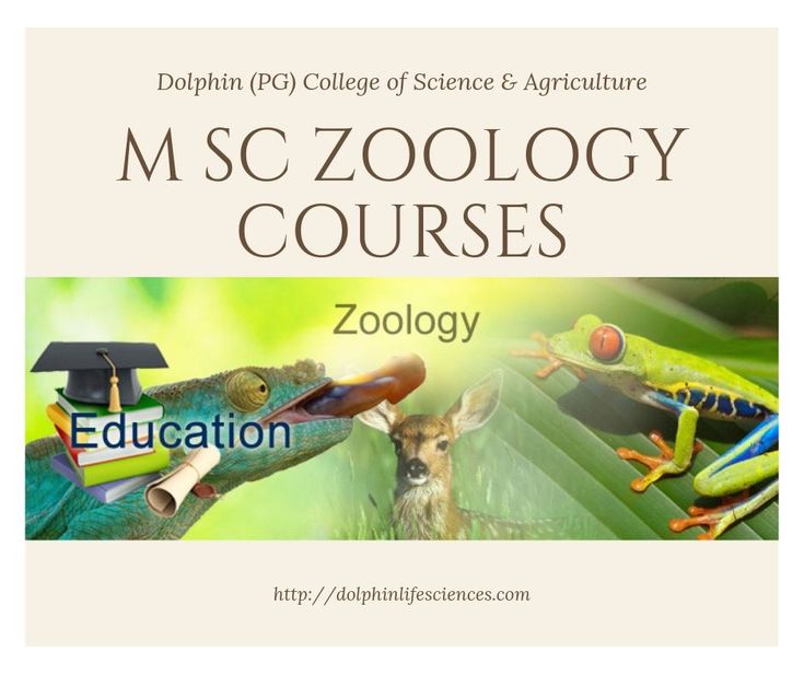 M Sc Zoology Courses Zoology, Zoology career, Msc M Sc Zoology Courses Zoology, Zoology career, Msc