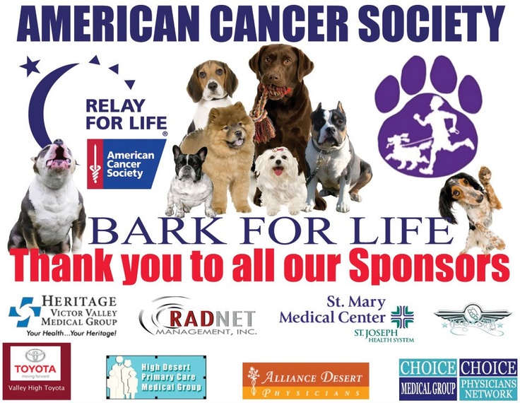 American cancer society southeast division