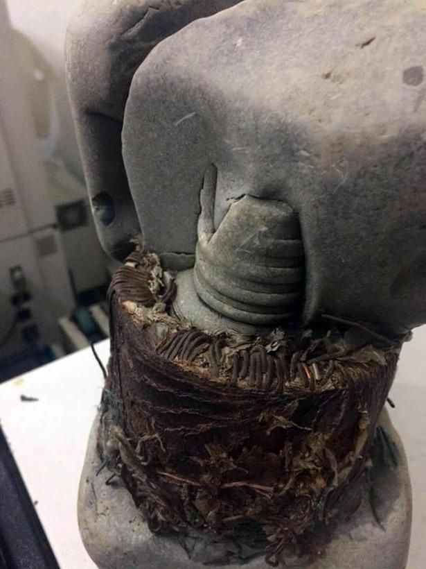 A 20 000 Year Old U201ctransformer U201d Found In Kosovo