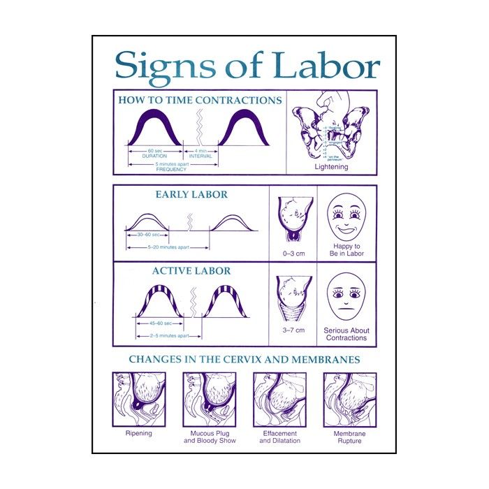 Signs Of Labour signs-of-labour