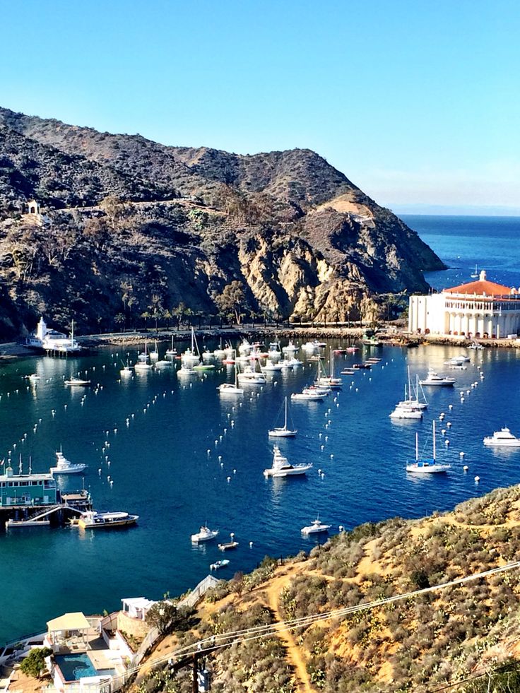 Best Mexican Restaurant In Catalina Island Best Mexican Restaurant In Catalina Island