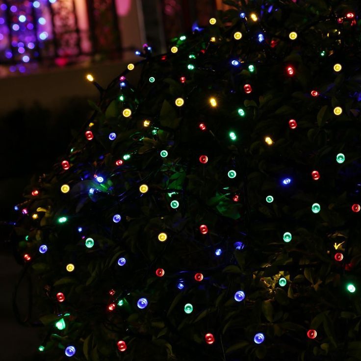 26 best outdoor room string lights christmas images on pinterest