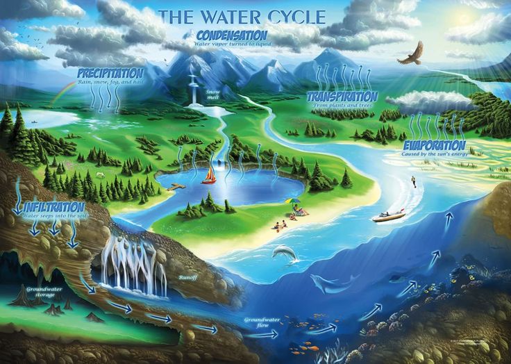 The Water Cycle Jigsaw Puzzle Water cycle, Geologic time scale