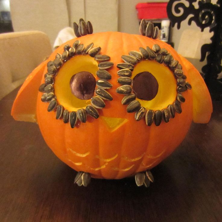 owl pumpkin carving awesome pumpkin carving ideas for halloween decorating - Awesome Halloween Pumpkins owl pumpkin carving awesome pumpkin carving ideas for halloween decorating - Awesome Halloween Pumpkins
