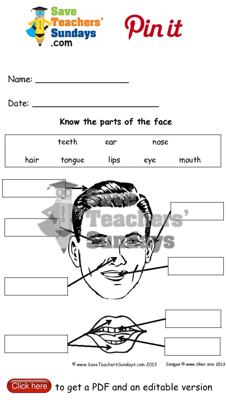 Parts Of The Human Face Diagrams To Label 2 Levels Of Difficulty Go