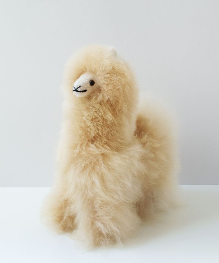 best 25 alpaca stuffed animal ideas on pinterest llama best 25 alpaca stuffed animal ideas on pinterest llama