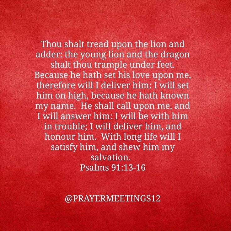 Psalms 91 13 16 KJV Psalms Kjv Longer Life psalms-91-13-16-kjv-psalms-kjv-longer-life