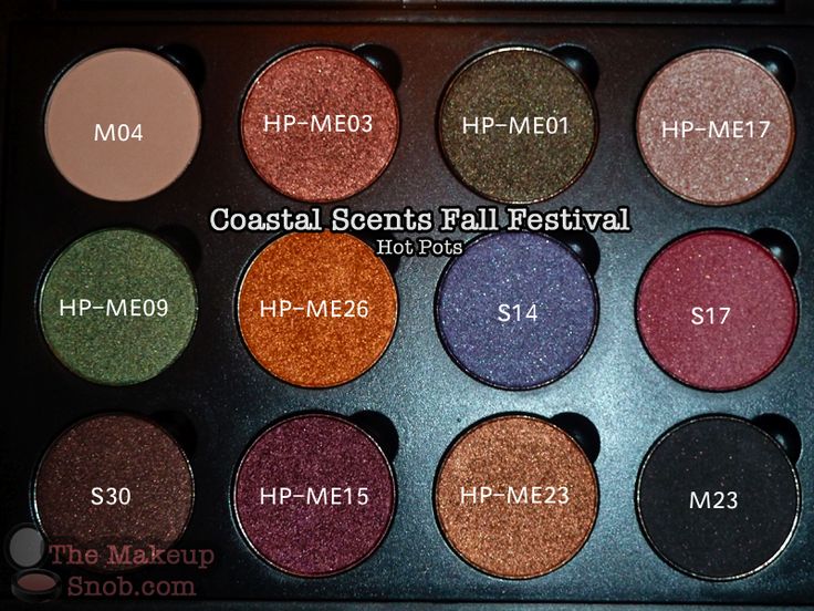 Coastal scents cosmetics coupons