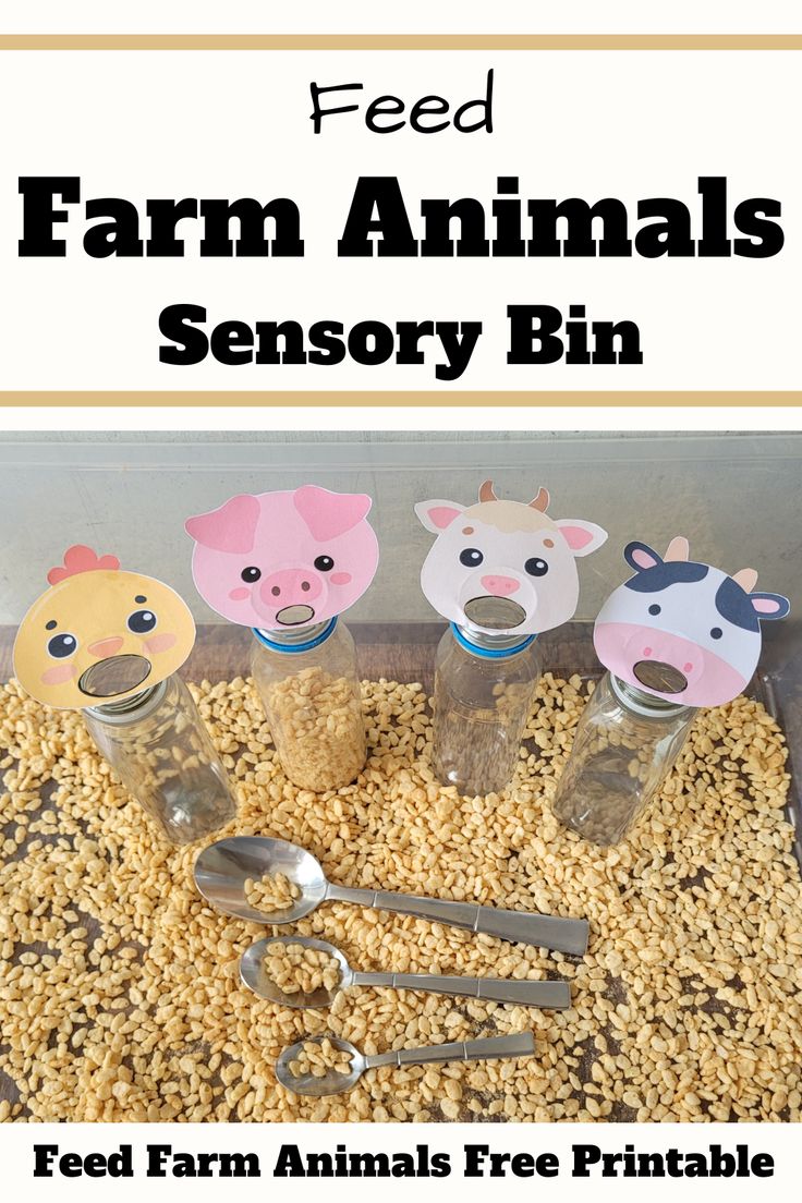 Farm Sensory Bin Ideas For Toddlers And Preschoolers In 2024 Farm farm-sensory-bin-ideas-for-toddlers-and-preschoolers-in-2024-farm