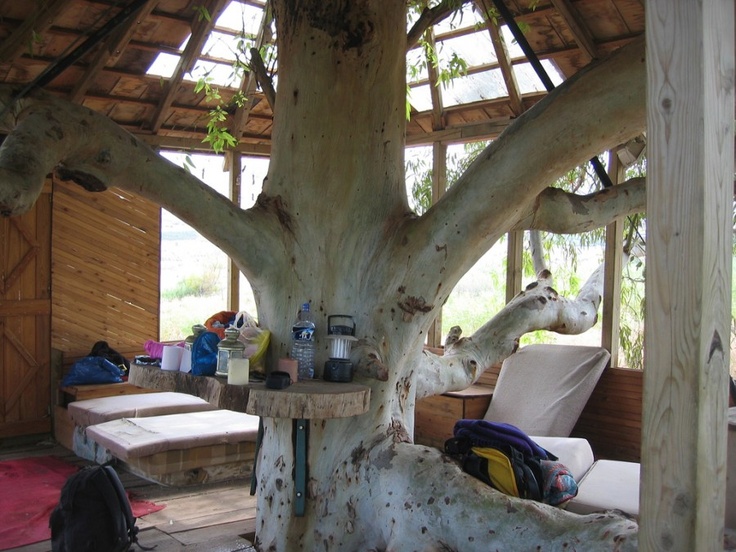 Kids Treehouse Inside interesting tree house interior ideas tree house interior ideas Kids Treehouse Inside interesting tree house interior ideas tree house interior ideas