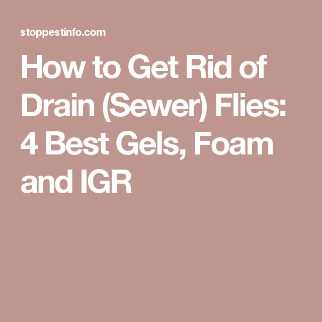 50 best G images on Pinterest Real estate forms, Lease agreement - lease rental agreement 50 best G images on Pinterest Real estate forms, Lease agreement - lease rental agreement