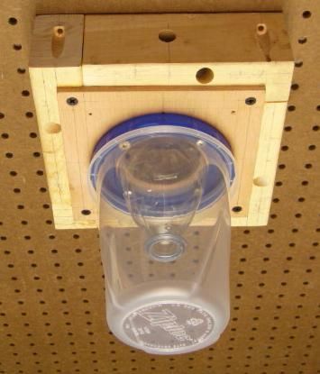 Best 25 Bee Catcher Ideas On Pinterest Wasp Mosquito Carpenter Bee Trap Large Version